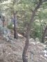 the way down - option two.jpg